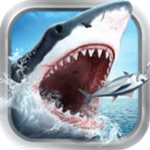 有没有免费的国外VP